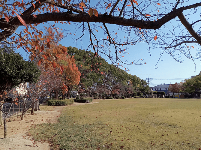 公園内の広場の写真4