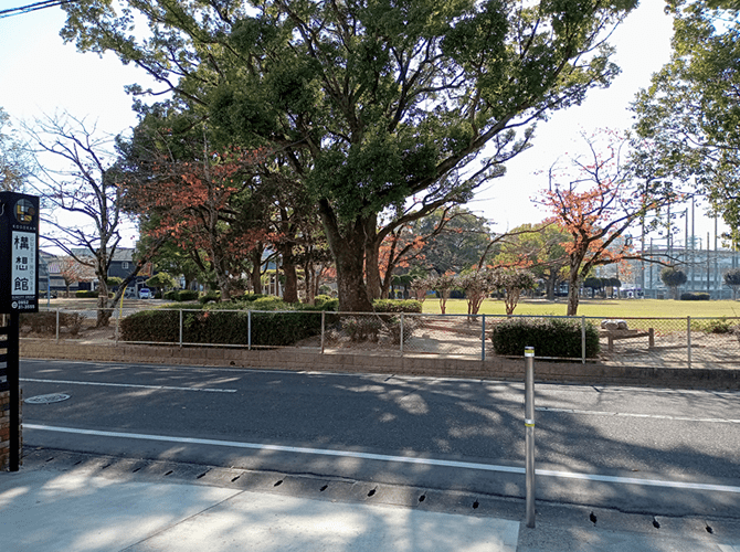 一部の木々の葉が赤くなっている公園の写真